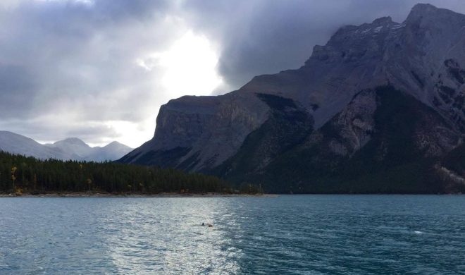 14456735_10157413455535487_2076362924_o